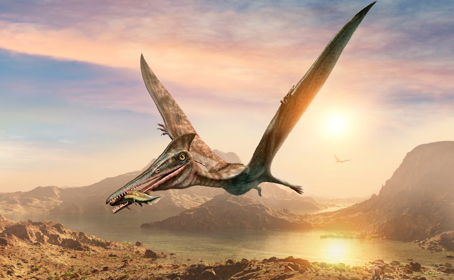 3D illustration of a pterosaur flying over a rocky landscape