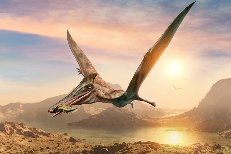 3D illustration of a pterosaur flying over a rocky landscape