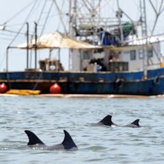 research paper about oil exploration