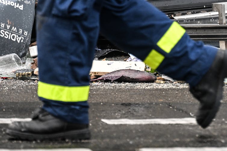 Uniformed feet walk past a dead fish.