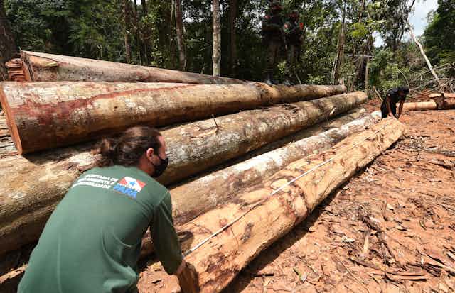 Funcionarios del estado de Pará (norte de Brasil) inspeccionan una zona deforestada en la selva amazónica.