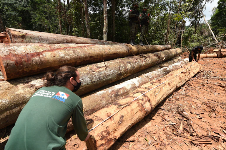 Funcionarios del estado de Pará (norte de Brasil) inspeccionan una zona deforestada en la selva amazónica.