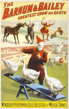 A poster for the circus shows a clown instructing geese.