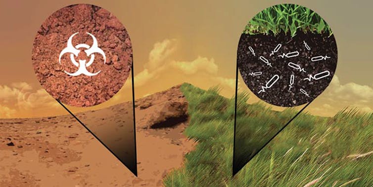 an illustration showing a toxic, arid, reddish landscape including a toxic waste symbol on the left, and a lush, fertile, green landscape on the right with a cross-section of healthy, bacteria-filled soil
