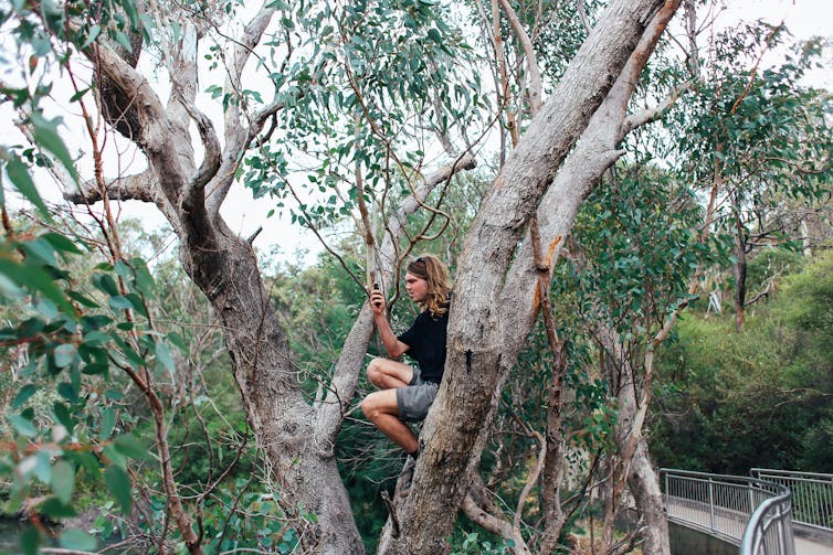 long-haired man sitting in tree scowling at phone