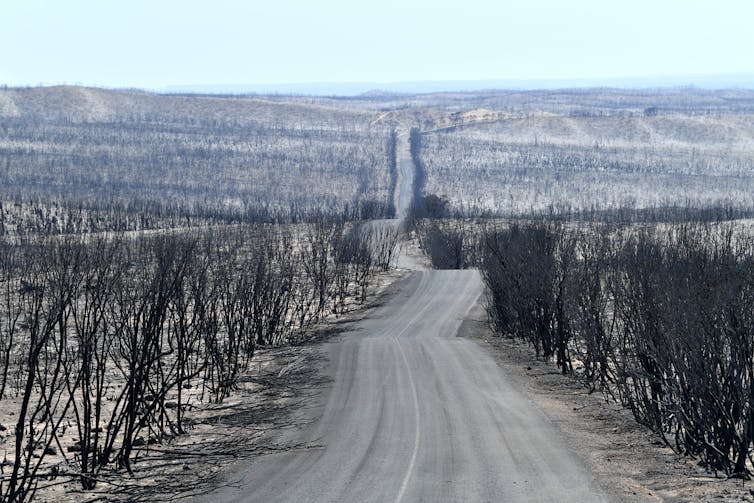 Road cuts through burnt out landscape