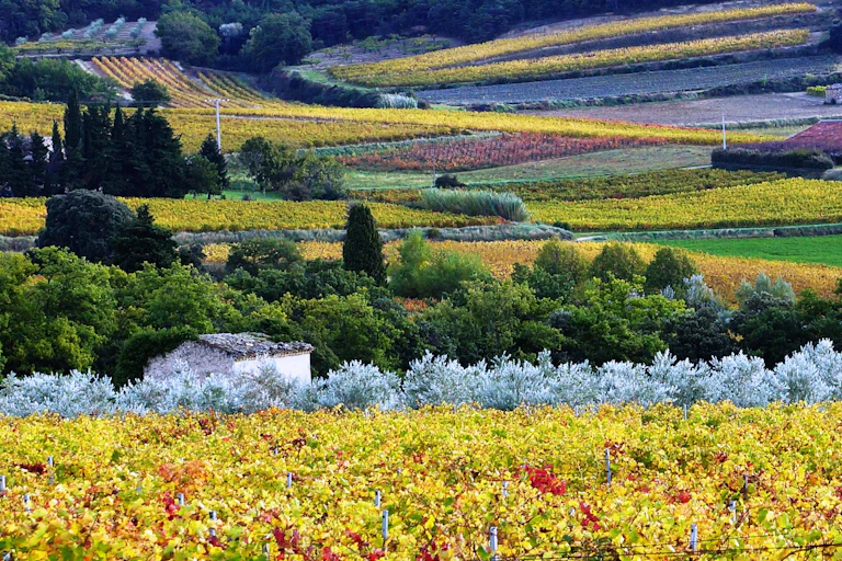 champs couleurs nature