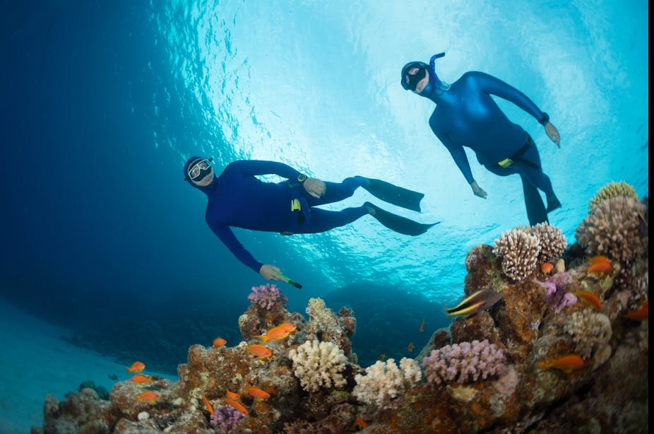 Two free divers swimming over vivid coral reef.