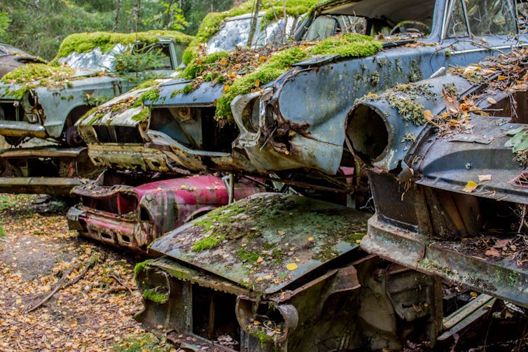 rusty old cars with moss growing on them
