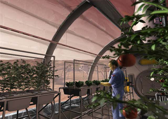 illustration of a domed greenhouse with a visible red sky in the background