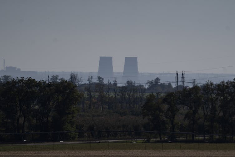 Nuclear reactors are seen from a distance, trees in the foreground.