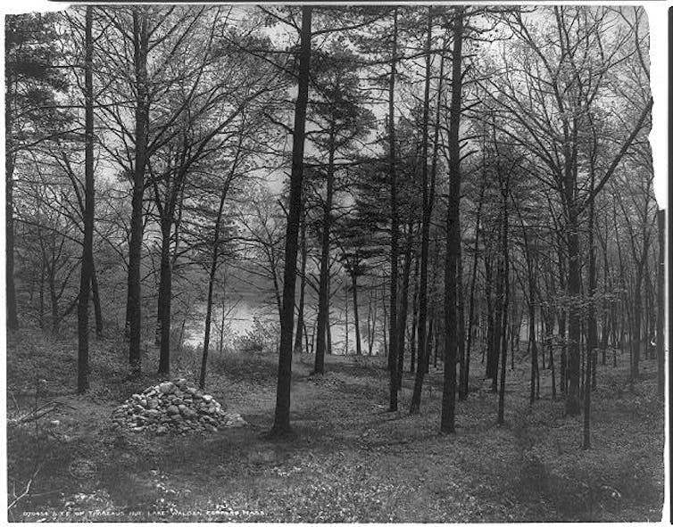 Vue en noir et blanc de la « baie de Thoreau »