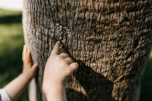 Une main d'enfant sur un tronc d'arbre 