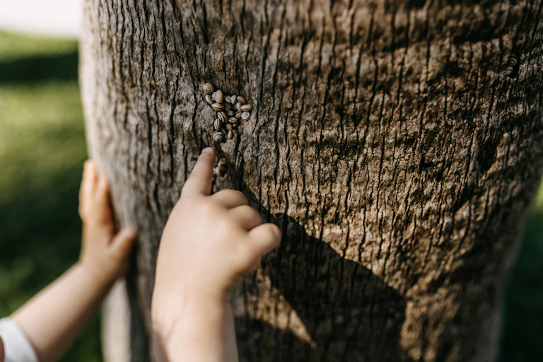 Une main d'enfant sur un tronc d'arbre