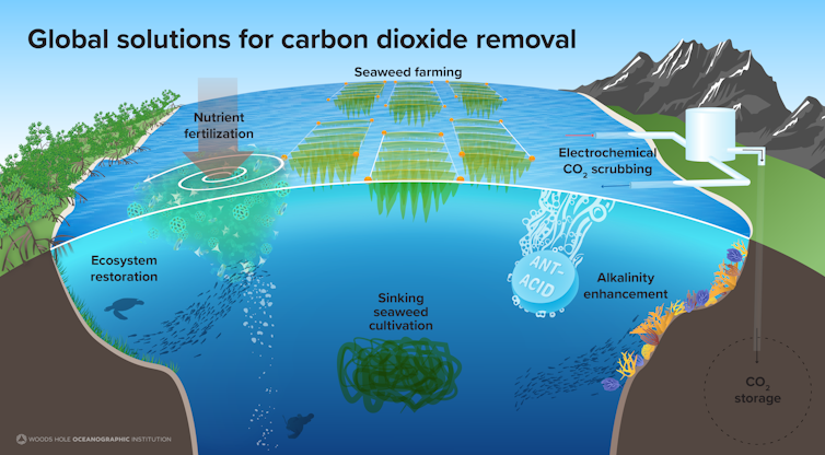 Илюстрация, показваща методи за съхранение на въглерод, включително отглеждане на водорасли