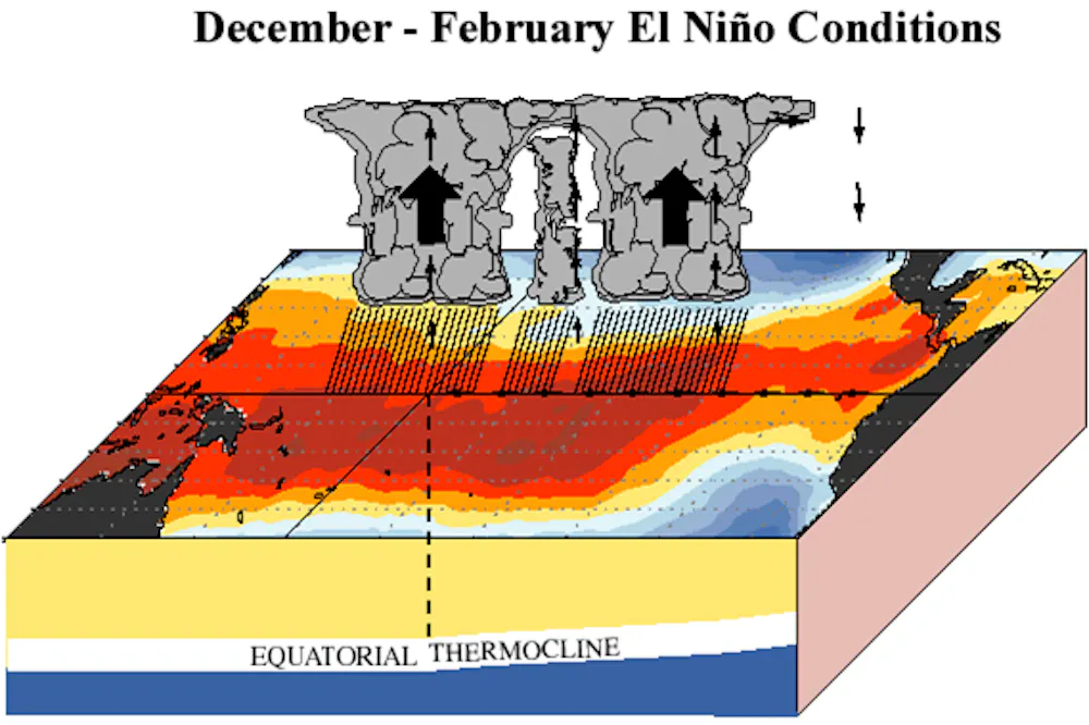 Explainer El Nino And La Nina
