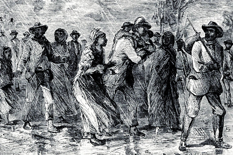 This illustration shows a group of black men and women walking through woods in the rain.
