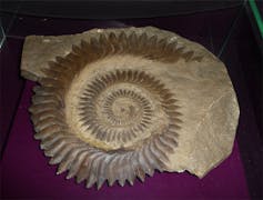 Close-up of a stone spiral with pointy edges set on a purple background