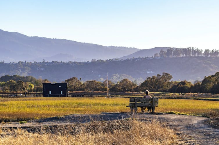 Person sitting on bench looking out at rural view across paddock to mountains