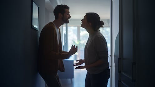 Who is perpetrating domestic, sexual and family violence?
