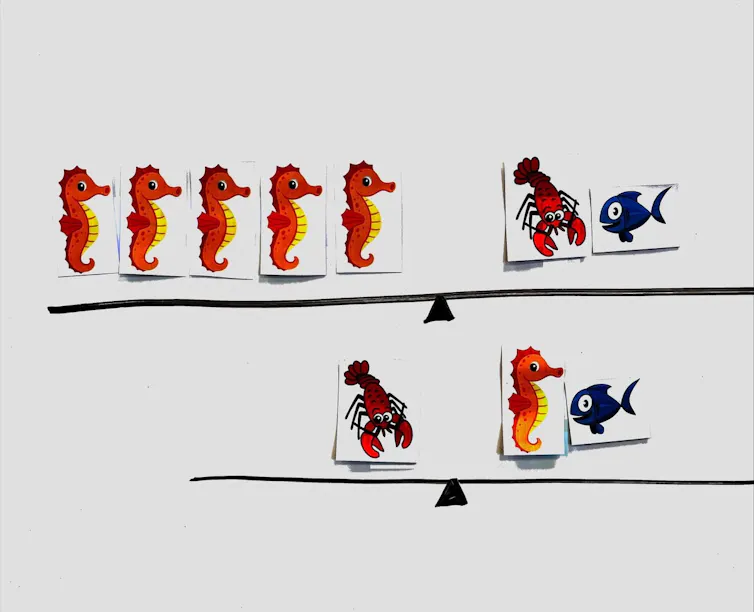 Graphic showing two lines of images which include seahorses, lobster and fish. Each line is split in the middle with a small triangle. The first line shows a line of five seahorses on one side of the triangle and a lobster on the other, and the second line shows a lobster on one side of the triangle, and a seahorse and a fish on the other.