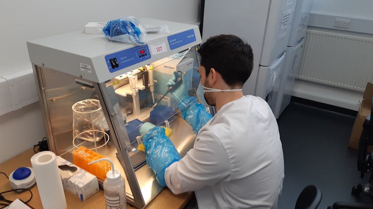 Senior lab technician, Nick Woodhall, setting up a qPCR assay as part of the study.