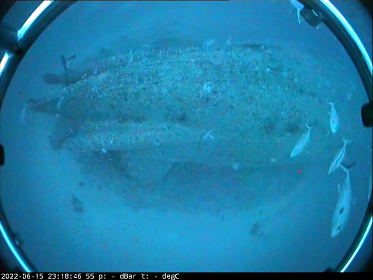 An image of a wrecked ship on the seafloor