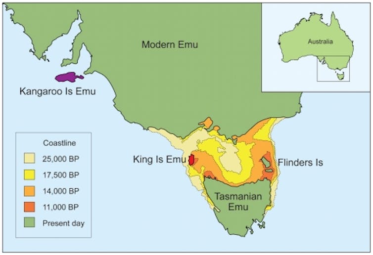 Map showing distribution of emus