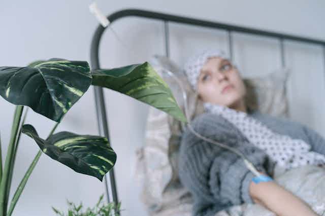 A cancer patient in a hospital bed on an IV drip, with a plant next to bed