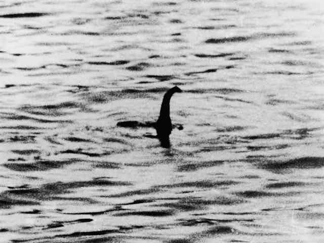 A black and white photograph of the supposed Loch Ness Monster, showing what appears to be a snake-like head and elongated neck bobbing out of the water. The photograph was later revealed to be a hoax.