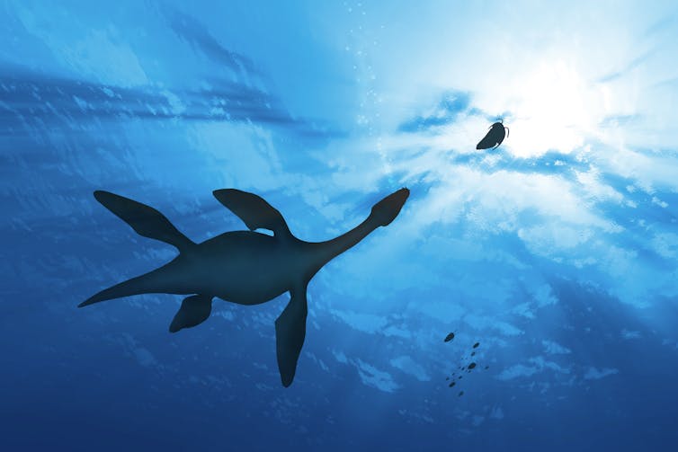 An illustration of a long-necked marine dinosaur, chasing prey in the turquoise water.