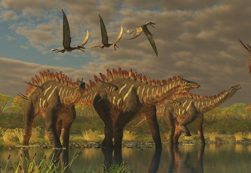 How did birds survive while dinosaurs went extinct?