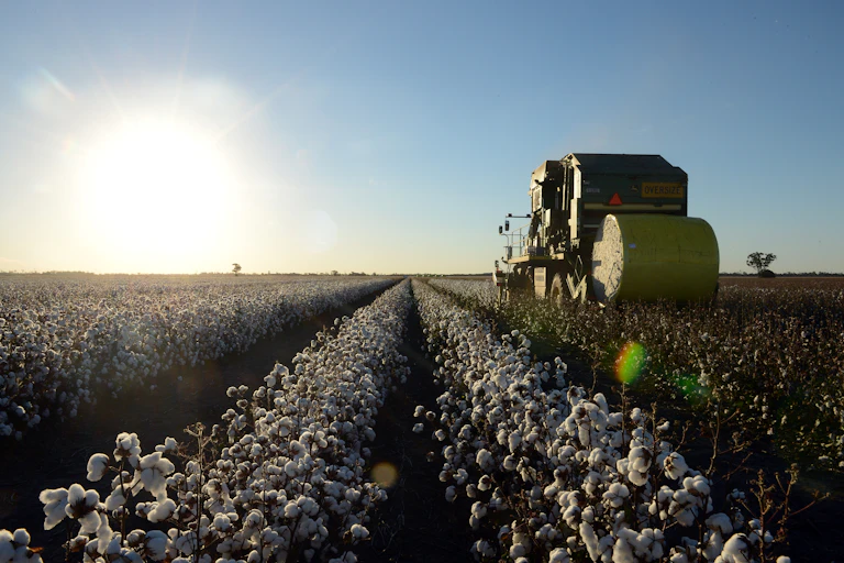 Cotton bales sit in a harvested field on a farm near Dalby on the Darling Downs in Queensland, Tuesday, April 23, 2013.