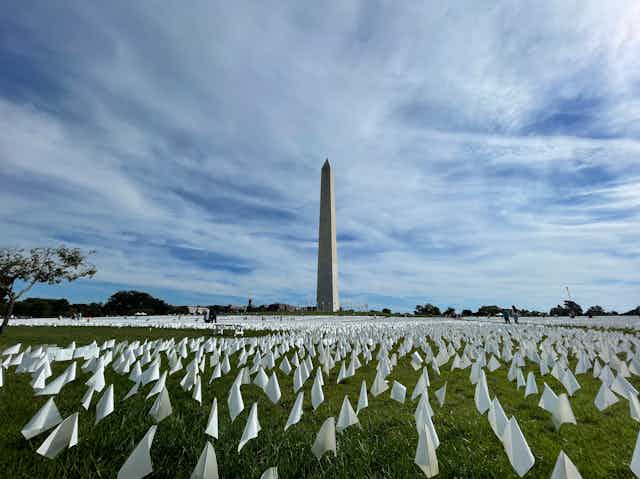 Thousands of white flags stretch across the National Mall.