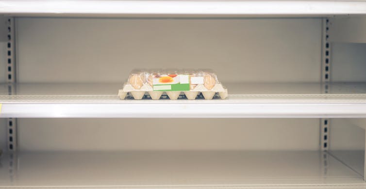Empty eggs shelves supermarket store. Food supply shortage crisis.