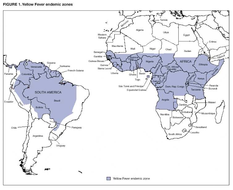 brazil travel yellow fever vaccination