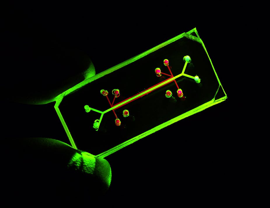 un dispositif microfluidique éclairé en luminescence