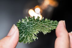 A wrinkly, spiky green mineral held within a person's fingertips