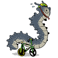 Cartoon of a velvet worm riding an olympic velodrome bicycle