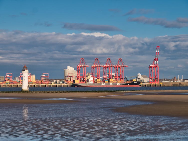 Red cranes at a waterfront.