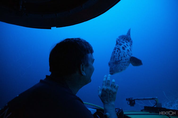 Homem em sub pontos no peixe