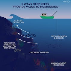 Infographic of ways deep reefs provide value to humankind