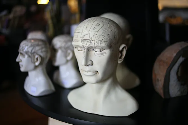 Gambar patung kepala frenologi