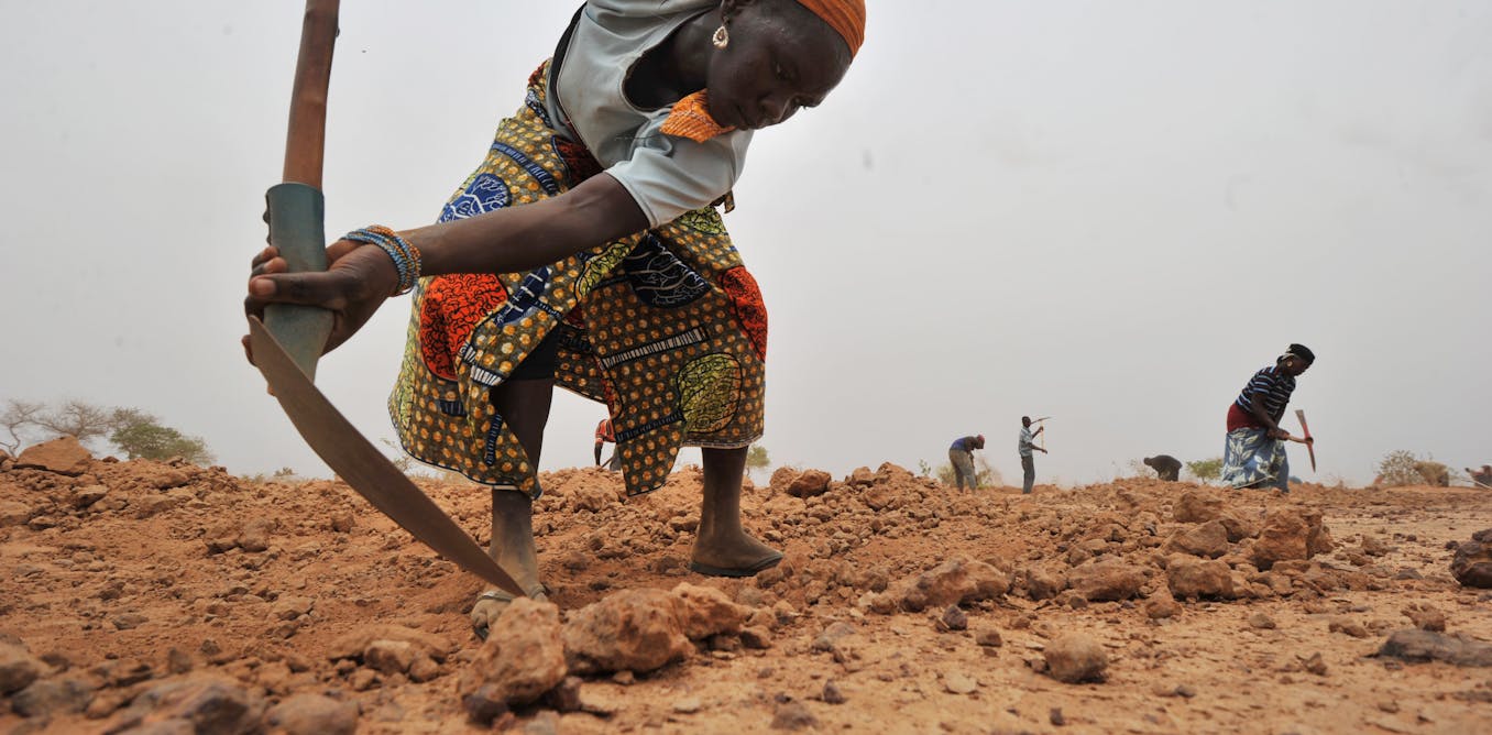 Niger is Africa’s fastest growing country – how to feed 25 million more people in 30years