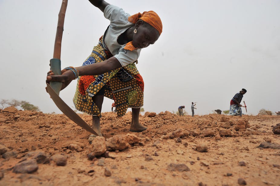 A woman holding a hoe digs into a dry patch of soil. Behind her are three other people doing a similar thing.