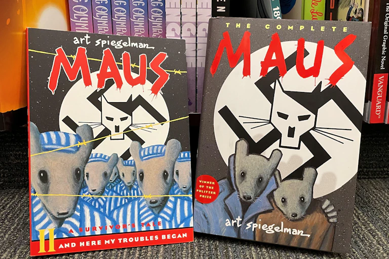 Two graphic novels propped up side by side.