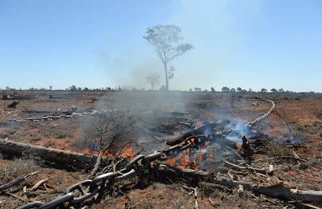 land clearing queensland
