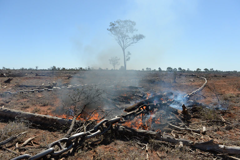 land clearing queensland