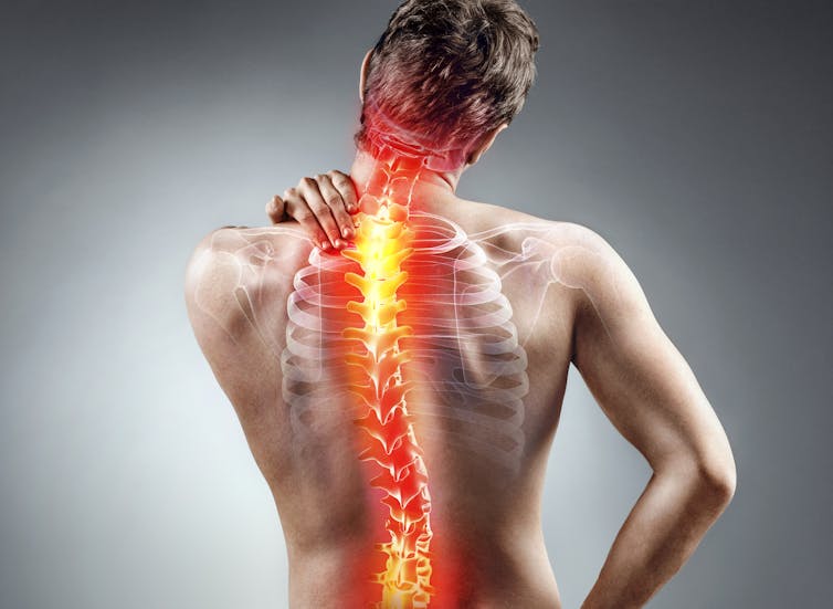 Prácticamente todos sufriremos dolor de espalda en algún momento, pero cuándo debe preocupar. Cinco claves a tener en cuenta.