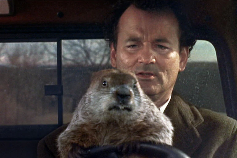 Bill Murray and a groundhog